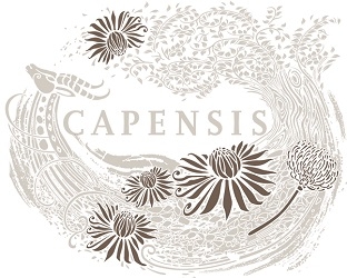 Capensis